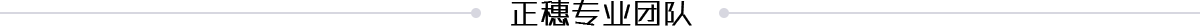 正穗專業(yè)團隊